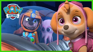 Zuma e Skye fanno squadra! Salvataggi di animali e altro ancora! - PAW Patrol I cuccioli Italiano