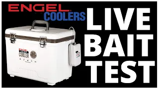 ENGEL LIVE BAIT COOLER (How long does bait REALLY last?) multiple species test