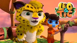 LEO and TIG 🦁 🐯 NEW 🌌 A Meeting with Tasman 👀 Cartoon For Children 💚 Moolt Kids Toons Happy Bear