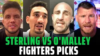 UFC 292: Aljamain Sterling vs Sean O'Malley Fighters Picks