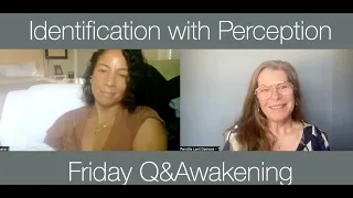 Identification with Perception - Q&Awakening  - The Awakening Curriculum