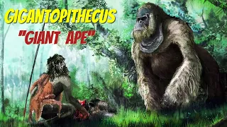 Gigantopithecus || The Largest Ape Ever Walked on This Earth