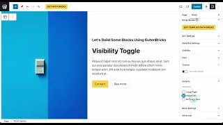 Build Gutenberg Blocks Using Bricks "Visibility Toggle"