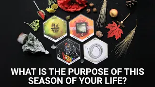 What is the purpose of this season of your life? | Pick-a-card tarot reading