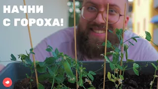 Самое простое растение для выращивания!