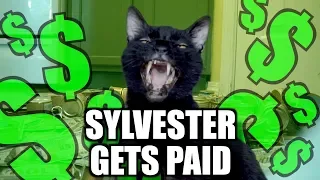 Talking Kitty Cat 68 - Sylvester Gets Paid