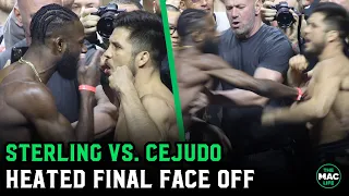 Aljamain Sterling vs. Henry Cejudo HEATED Final Face Off Nearly Erupts with shove