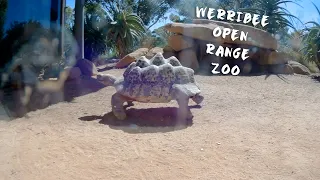 Werribee Open Range Zoo | Melbourne | Victoria | Australia