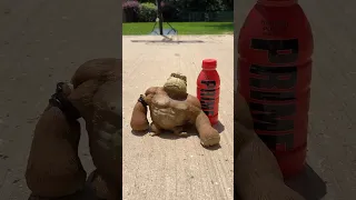 VIRAL Squishy Monkey Drinks PRIME! 😱🥤 #shorts #viral