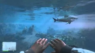 GTA 5 Eaten by a shark first person