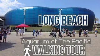 🐠 Aquarium of The Pacific | Long Beach | 4K Walking Tour