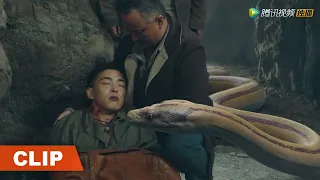 Clip 小树被黑蟒攻击，昔日宠物为他疗伤《巨兽狂蟒 GIANT PYTHON》