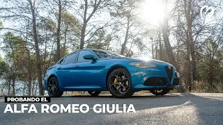 Alfa Romeo Giulia Veloce 280 CV, la berlina deportiva por antonomasia [PRUEBA - #POWERART] S06-E26