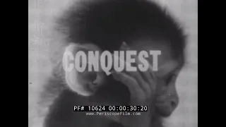 1960 "CONQUEST" TV SHOW  PSYCHOLOGICAL ANIMAL RESEARCH EXPERIMENT w/ MONKEYS ABOUT LOVE 10624