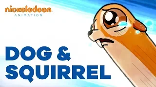 Dog & Squirrel | Nick Animated Shorts
