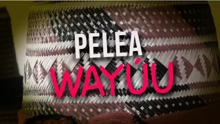 Pelea Wayúu - Testigo Directo HD