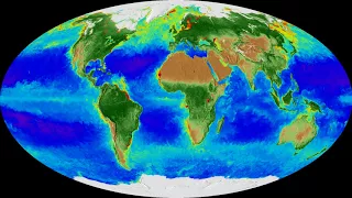 20 years of changing seasons on Earth (NASA video)