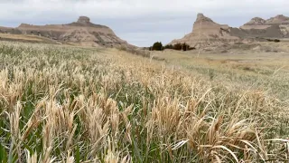 The Mormon Trail