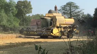 New Holland TF78 Harvesting wheat in Black Smith green Suffolk