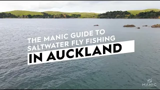 The Manic Guide To Saltwater Fly Fishing In Auckland