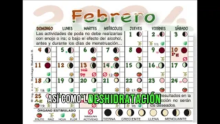 Como Sembrar Con LA LUNA febrero 2024/ cultivar con fases lunares/ calendario lunar