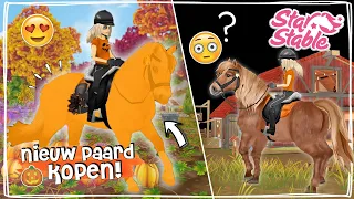 NIEUW ZELDZAAM PAARD KOPEN + WAT IS ER MIS MET STAR STABLE? 😨 - Update | Daphne draaft door