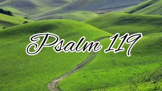 Psalm 119 - NLT Audiovisual (straight through, no intro, or section headings)