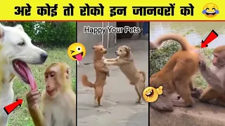 Funniest Cats And Dogs Videos😁Funny Animal Videos 2024 | Part 104