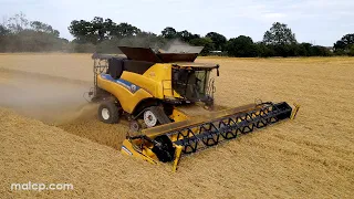 4Kᵁᴴᴰ Harvest 2023: New Holland CR9.90 Revelation combine cutting winter barley in Clopton, Suffolk.