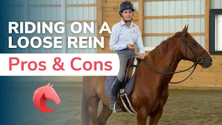 Riding on a Loose Rein - Pros and Cons