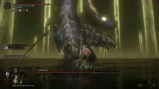 (Slowly) Beating Radagon/Elden Beast with Bloodhound's Fang