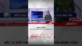 Triệt phá sới gà ở Đồng Tháp, bắt giữ 17 đối tượng và nhiều tang vật | ANTV #shorts