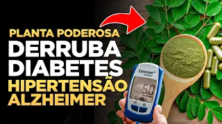 ESSA PLANTA PODEROSA VAI DERRUBAR A DIABETES, HIPERTENSÃO, ALZHEIMER - DR RENATO SILVEIRA