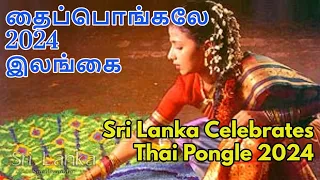 Thai Pongal, தைப்பொங்கல் Celebrated by the Global & Sri Lanka Tamils / Places to Visit in Sri Lanka