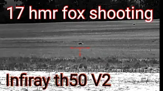 Fox shooting with a 17 hmr and infiray th50 v2 thermal scope