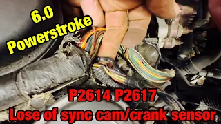 6.0 Powerstroke p2614 p2617 lose of sync, cam sensor pigtail, cam sensor, crank sensor