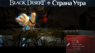 Black Desert Перчатки Тана