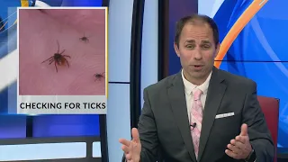 Checking for ticks