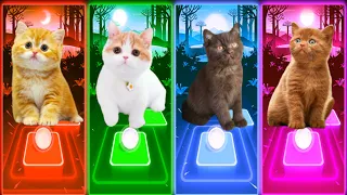 CUTE CATS - WELLERMAN VS IMAGINE DRAGONS ENEMY VS ALAN WALKER FADED VS JISOO FLOWER