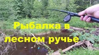 Рыбалка в лесном ручье.