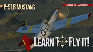 Learn to fly the P-51B Mustang