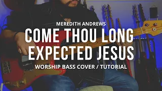Come Thou Long Expected Jesus | Meredith Andrews | Bass Cover & Tutorial