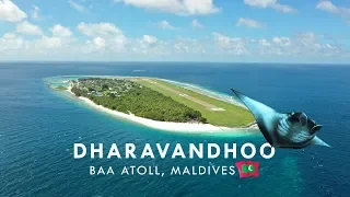 Maldives Dharavandhoo Island Review 2019 - TRAVEL VLOG