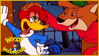 Woody Woodpecker Show | FrankenWoody | 1 Hour Compilation | Videos For Kids