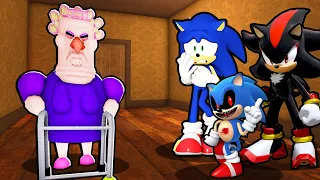 SONIC, BABY SONIC.EXE AND SHADOW VS ESCAPE GRUMPY GRAN IN ROBLOX