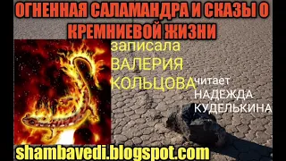 ОГНЕННАЯ САЛАМАНДРА И СКАЗЫ О КРЕМНИЕВОЙ ФОРМЕ ЖИЗНИ (shambavedi.blogspot.com), ВАЛЕРИЯ КОЛЬЦОВА