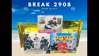 Break 2908. Upper Deck Hockey Mixer + Gold Pack. Super Short Print..!! SSP...!!!
