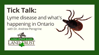 Tick Talk: Lyme Disease and What's Happening in Ontario