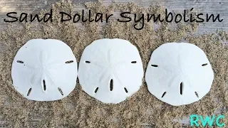 Sand Dollar Symbolism