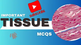 Tissue Quiz || MCQs about Tissue || Biology Tissue || Level MCQs